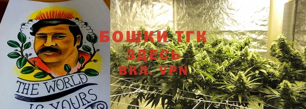 трава Арсеньев